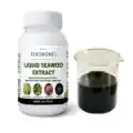 Seaweed Liquid Fertilizer